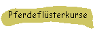 Pferdeflsterkurse