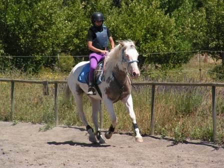 erster Galop